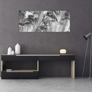 Obraz - Lipnica, čiernobiela (120x50 cm)