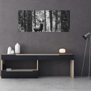 Obraz - Jeleň v lese 2, čiernobiela (120x50 cm)