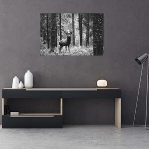 Obraz - Jeleň v lese 2, čiernobiela (90x60 cm)