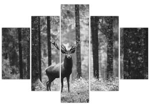 Obraz - Jeleň v lese 2, čiernobiela (150x105 cm)
