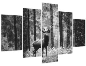 Obraz - Jeleň v lese 2, čiernobiela (150x105 cm)