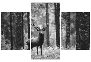 Obraz - Jeleň v lese 2, čiernobiela (90x60 cm)