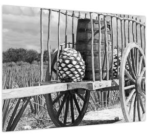 Obraz - Prívesný vozík, čiernobiela (70x50 cm)