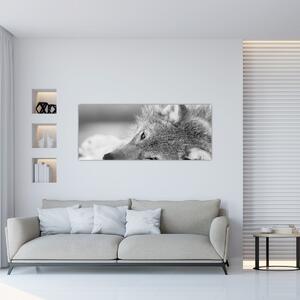 Obraz - Vlk, čiernobiela (120x50 cm)