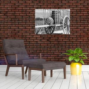 Obraz - Prívesný vozík, čiernobiela (70x50 cm)