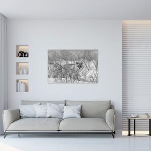 Obraz - Lišiak, čiernobiela (90x60 cm)