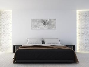 Obraz - Sova, čiernobiela (120x50 cm)