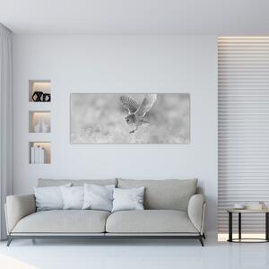 Obraz - Sova, čiernobiela (120x50 cm)