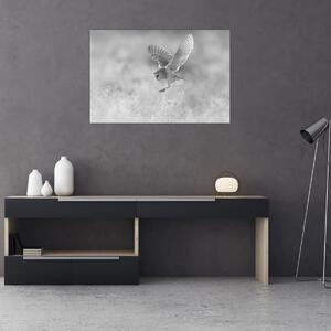 Obraz - Sova, čiernobiela (90x60 cm)