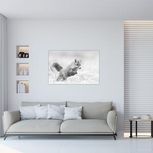 Obraz - Skákajúca líška, čiernobiela (90x60 cm)