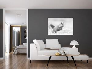 Obraz - Skákajúca líška, čiernobiela (90x60 cm)