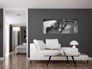 Obraz - Zamilované kone, čiernobiela (120x50 cm)