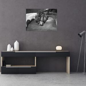 Obraz - Zamilované kone, čiernobiela (70x50 cm)