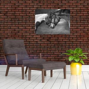 Obraz - Zamilované kone, čiernobiela (70x50 cm)