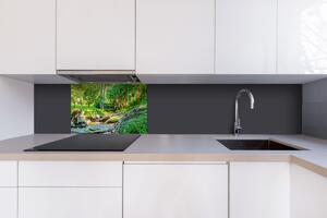 DIMEX | Dibond doska za kuchynskú linku | DBW-06040-134 Botanická záhrada | 60 x 40 cm