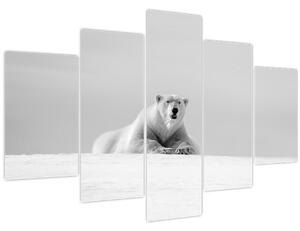 Obraz - Ľadový medveď, čiernobiela (150x105 cm)