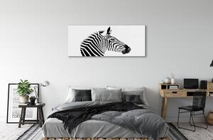 Sklenený obraz ilustrácie zebra 120x60 cm 4 Prívesky