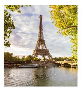 DIMEX | Vliesová fototapeta na stenu Seina v Paríži MS-3-0028 | 225 x 250 cm | zelená, šedá, béžová
