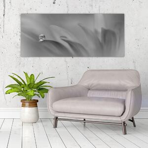 Obraz - Kvapka na kvete, čiernobiela (120x50 cm)