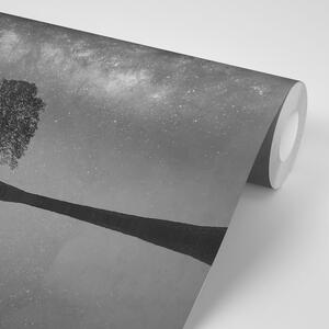 Samolepiaca fototapeta čiernobiela hviezdna obloha nad osamelým stromom