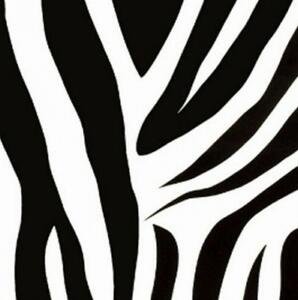 PATIFIX | Samolepiace fólie ZEBRA 15-6495 | šírka 45 cm | čierna, biela