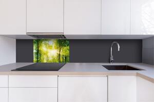 DIMEX | Dibond doska za kuchynskú linku | DBW-06040-189 Svieži zelený les | 60 x 40 cm
