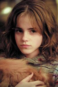 Umelecká tlač Harry Potter - Hermione Granger