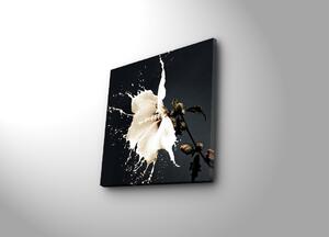 Wallity Obrázok LUCCILLA 45x45 cm čierna/biela