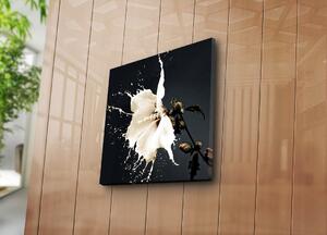 Wallity Obrázok LUCCILLA 45x45 cm čierna/biela
