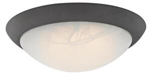 Westinghouse 6308940 - LED stmievateľné stropné svietidlo LED/15W/230V