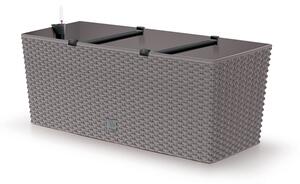 Prosperplast Truhlík RATAN CASE mocca, variant 51,4 cm