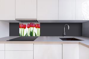 DIMEX | Dibond doska za kuchynskú linku | DBW-06040-058 Tulipány | 60 x 40 cm