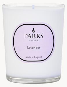 Vonná sviečka Vintage Aromatherapy (Lavender)