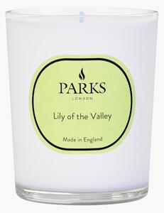 Vonná sviečka Vintage Aromatherapy (Lily of the Valley)