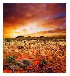 DIMEX | Vliesová fototapeta na stenu Austrália MS-3-0050 | 225 x 250 cm | oranžová, žltá, hnedá, zelená