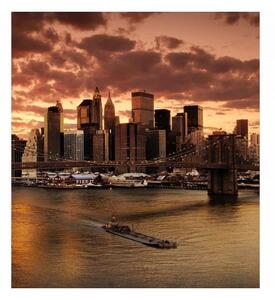 DIMEX | Vliesová fototapeta na stenu New York MS-3-0002 | 225 x 250 cm | oranžová, hnedá