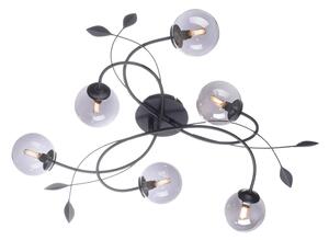 Paul Neuhaus Widow stropné LED svietidlo, 6-pl
