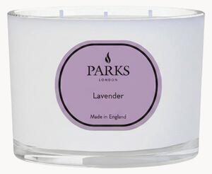 Ručne vyrobená trojknôtová vonná sviečka Vintage Aromatherapy (Lavender, Chamomile & White Musk)