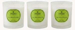 Ručne vyrobené vonné sviečky Vintage Aromatherapy (Lime, Basil & Mandarin), 3 ks