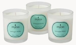 Ručne vyrobené vonné sviečky Vintage Aromatherapy (Lemongrass, Mint & Citrus), 3 ks