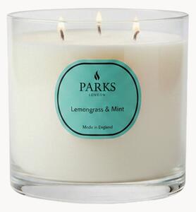 Ručne vyrobená trojknôtová vonná sviečka Vintage Aromatherapy (Lemongrass, Mint & Citrus)