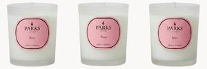 Ručne vyrobené vonné sviečky Vintage Aromatherapy (Rosewater, White Florals & Soft Musk), 3 ks