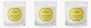 Ručne vyrobené vonné sviečky Vintage Aromatherapy (Linden Blossom, Magnolia & Soft Musk), 3 ks