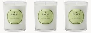 Ručne vyrobené vonné sviečky Vintage Aromatherapy (Lily of the Valley, White Florals & White Musk), 3 ks