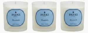 Ručne vyrobené vonné sviečky Vintage Aromatherapy (Hyacinth, Green Florals & White Musk), 3 ks
