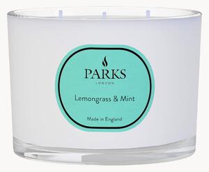 Ručne vyrobená trojknôtová vonná sviečka Vintage Aromatherapy (Lemongrass, Mint & Citrus)
