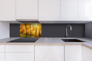 DIMEX | Dibond doska za kuchynskú linku | DBW-06040-084 Slnečný les | 60 x 40 cm