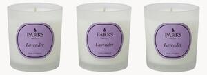 Ručne vyrobené vonné sviečky Vintage Aromatherapy (Lavender, Chamomile & White Musk), 3 ks