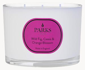 Ručne vyrobená trojknôtová vonná sviečka Vintage Aromatherapy (Wild Fig, Black Cassis & Orange Blossom)