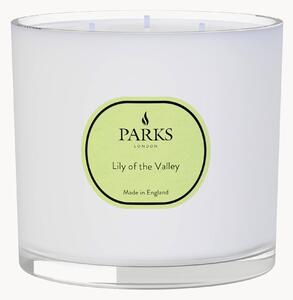 Ručne vyrobená trojknôtová vonná sviečka Vintage Aromatherapy (Lily of the Valley, White Florals & White Musk)